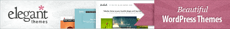 elegant themes banner