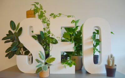 How to Start an SEO Business – A Comprehensive Guide