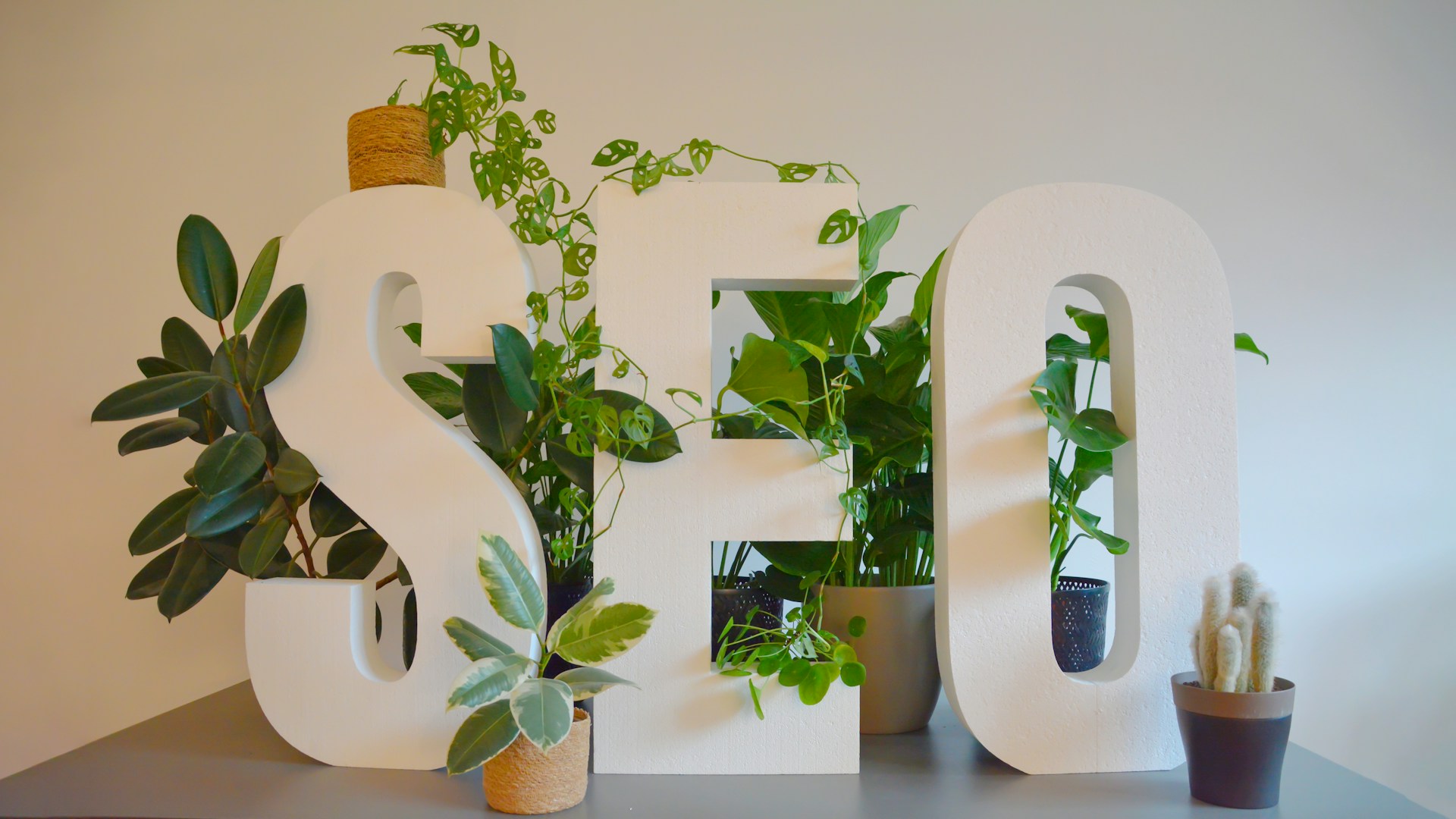 how to start an seo business